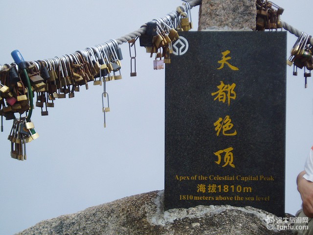 ��ɽ�춼��