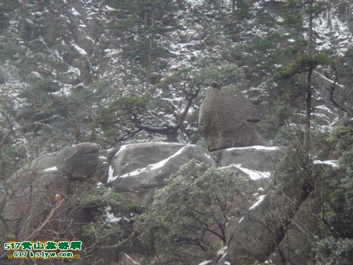 ��ɽϲȵ��÷