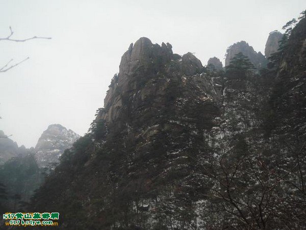 ��ɽ˫è����