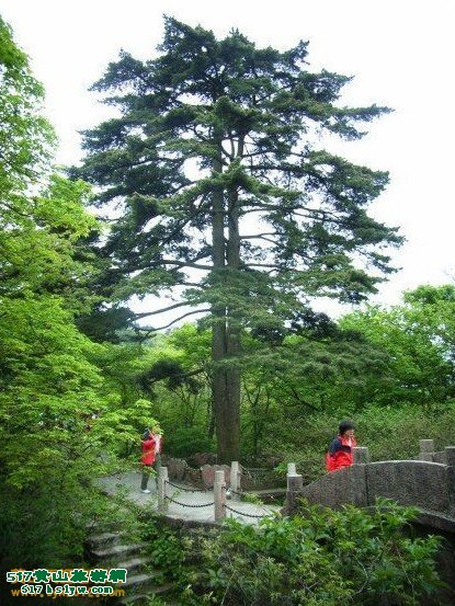 ��ɽ������