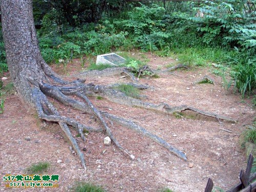 ��ɽ��צ��