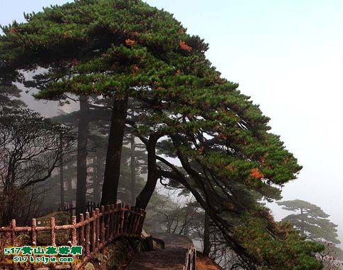 ��ɽ������