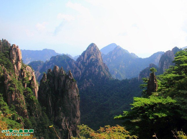 ��ɽ�α�����