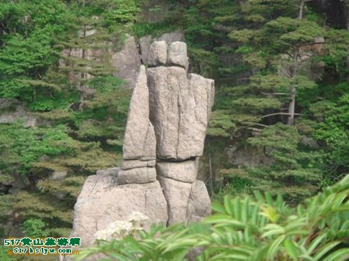 ��ɽ����ɹЬ����