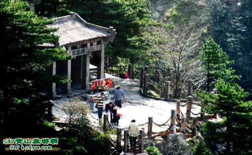 ��ɽ����ͤ