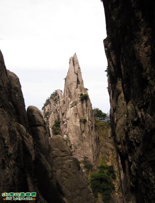 ��ɽ���Ʒ�