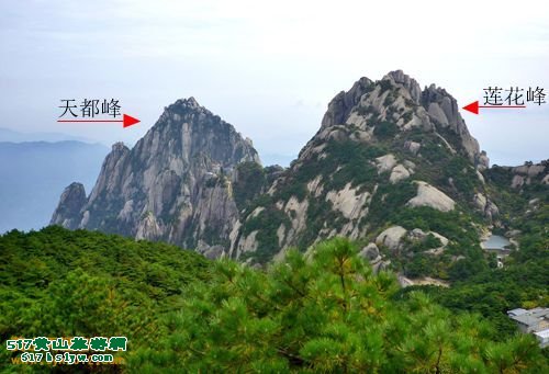 �������Ͽ��춼���������