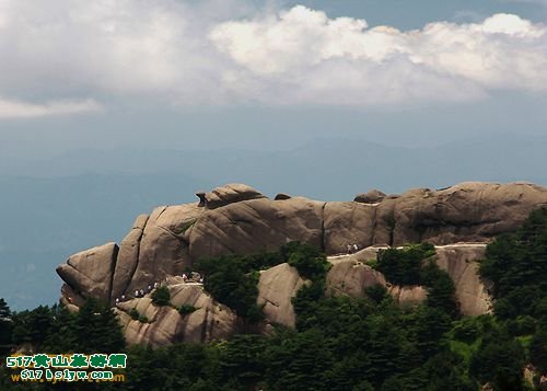 �����Խ��