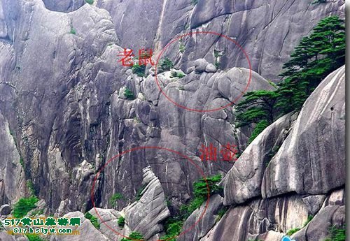 ��ɽ����͵�ͳԾ���