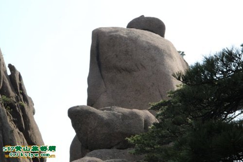 ��ɽ���̽������