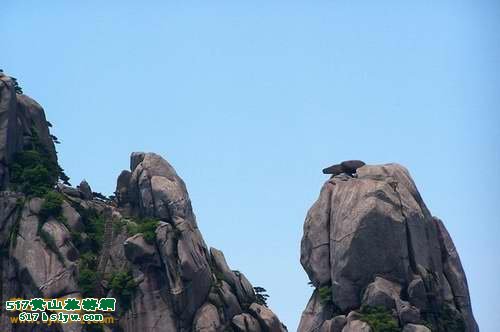 �������춼