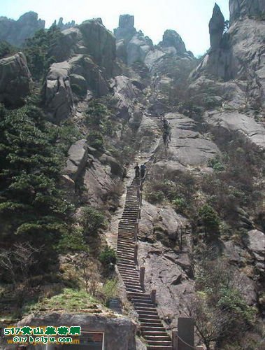 �ϵ������춼��·