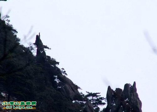 ��ɽ�������춼����