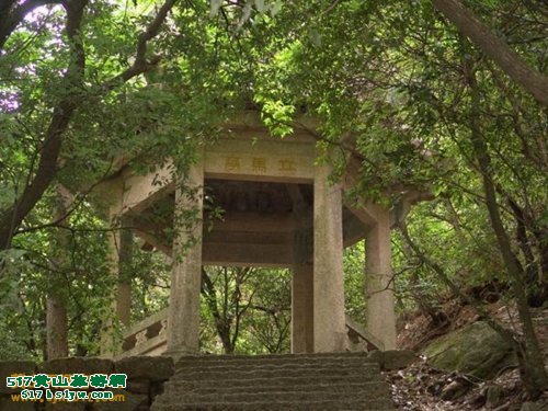 ��ɽ����ͤ����