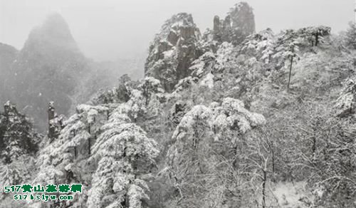 2015��ɽ��һ��ѩ