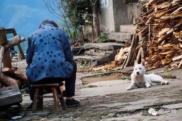 ���ջ�ɽ����