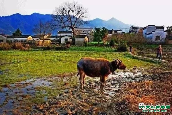 ���ջ�ɽ����