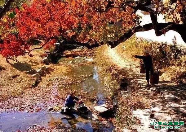 ���ջ�ɽ����