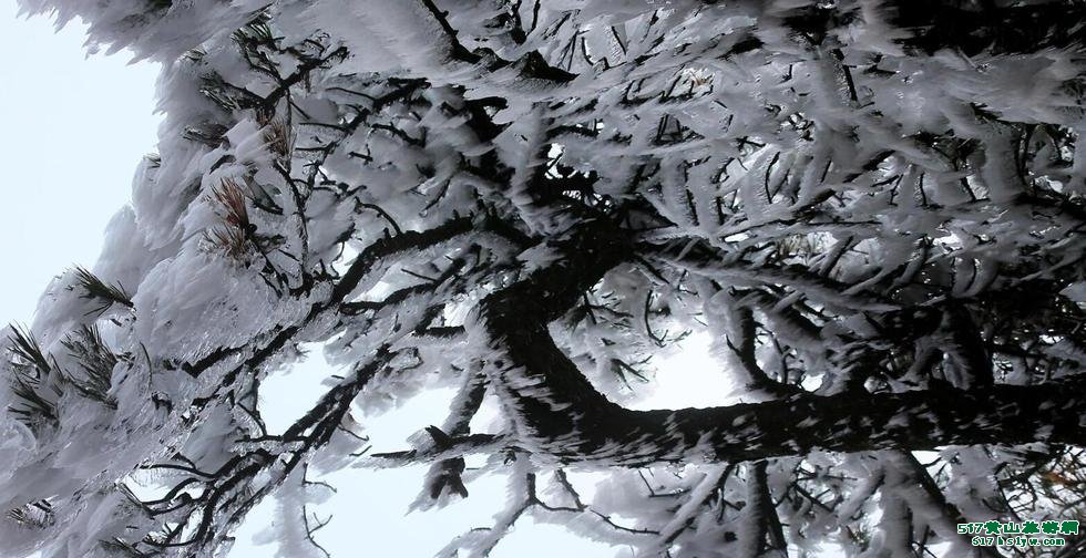 ��ɽ�羰��