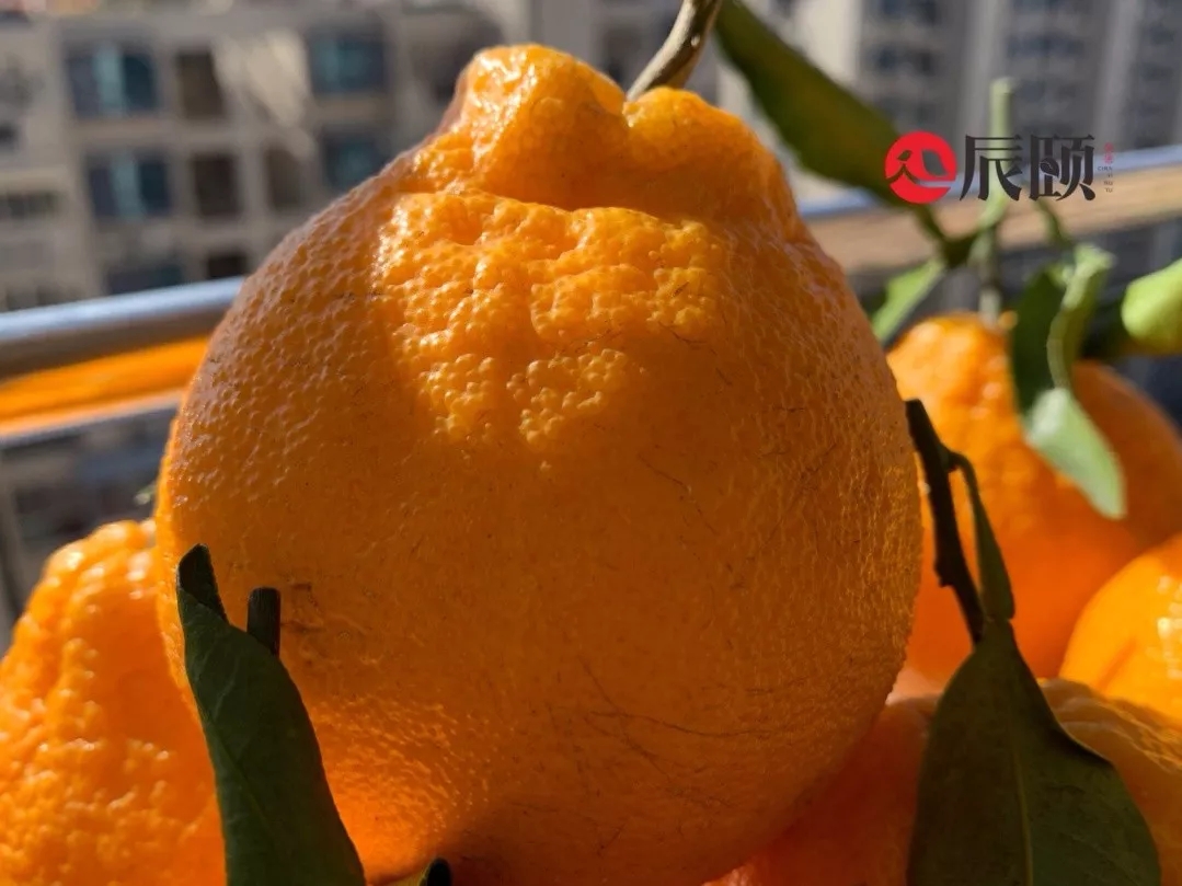 �������ﲻ֪�����