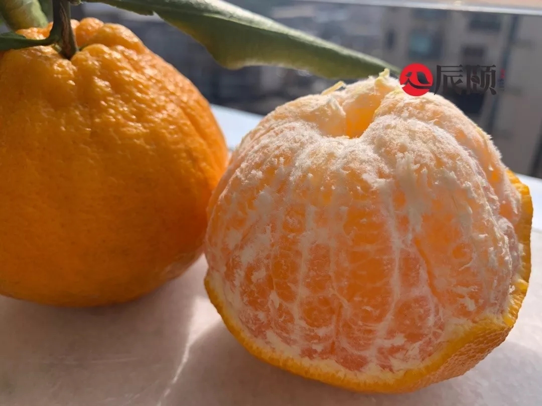 �������ﲻ֪�����