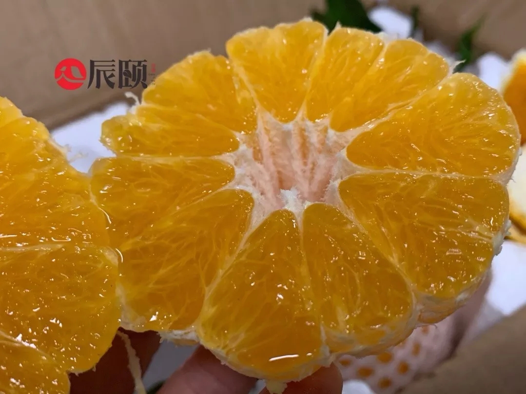 �������ﲻ֪�����